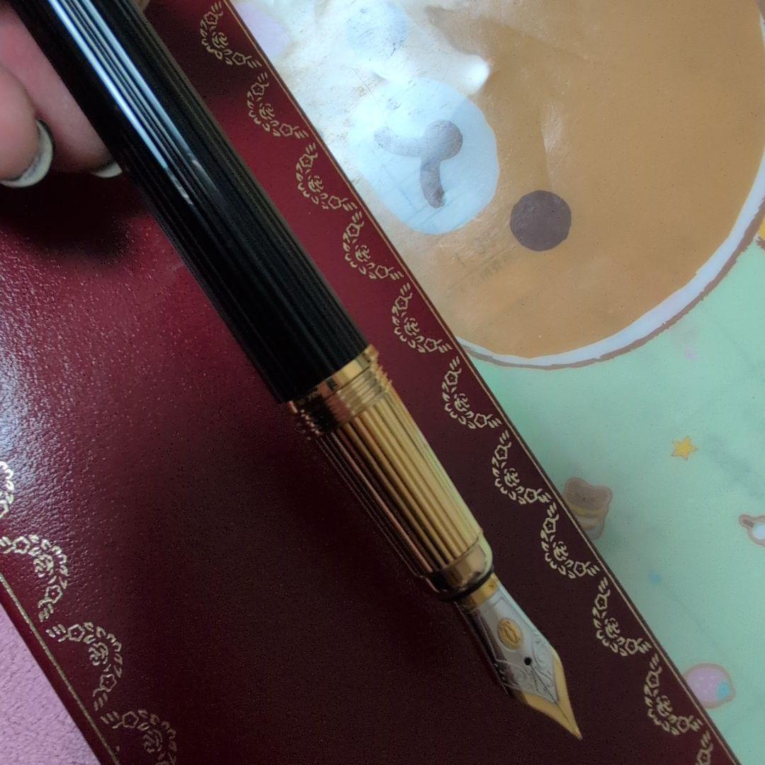 ルイ・カルティエ 万年筆 ノワール (nib: 18k Medium)