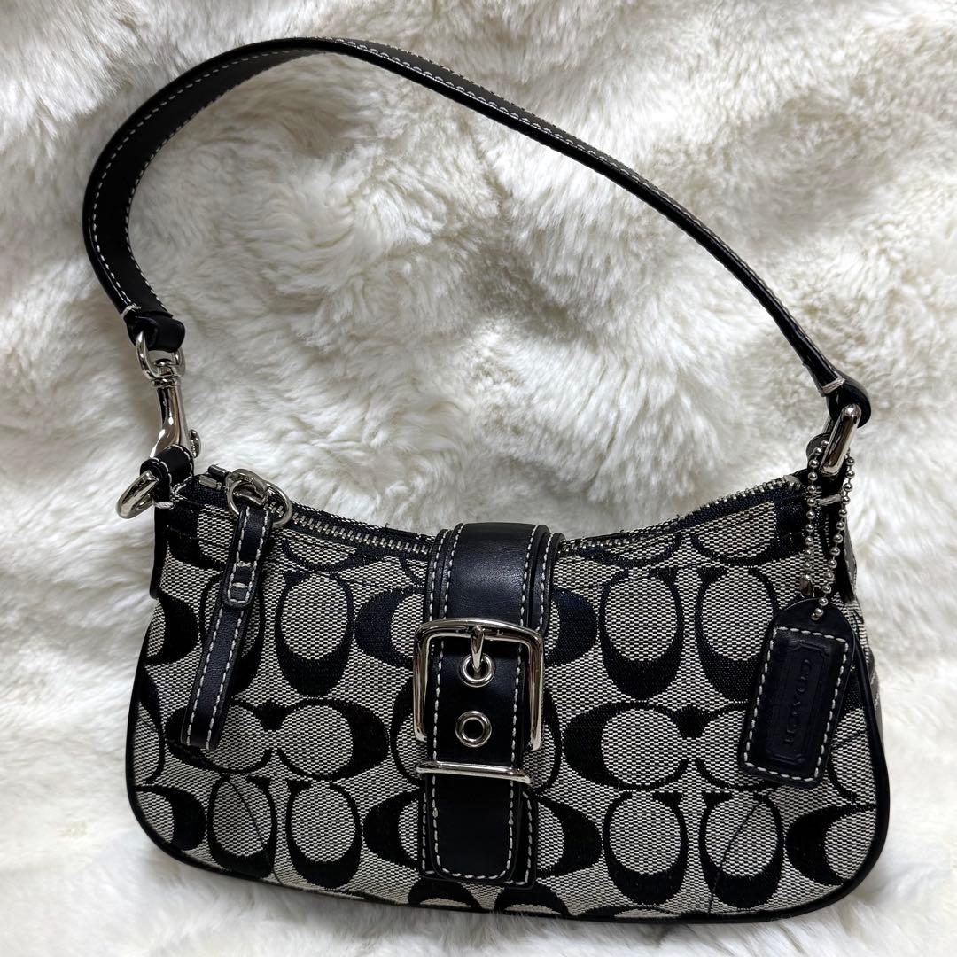 COACH シグネチャー　アクセサリーポーチ　ワンショルダー　6362 ソーホー