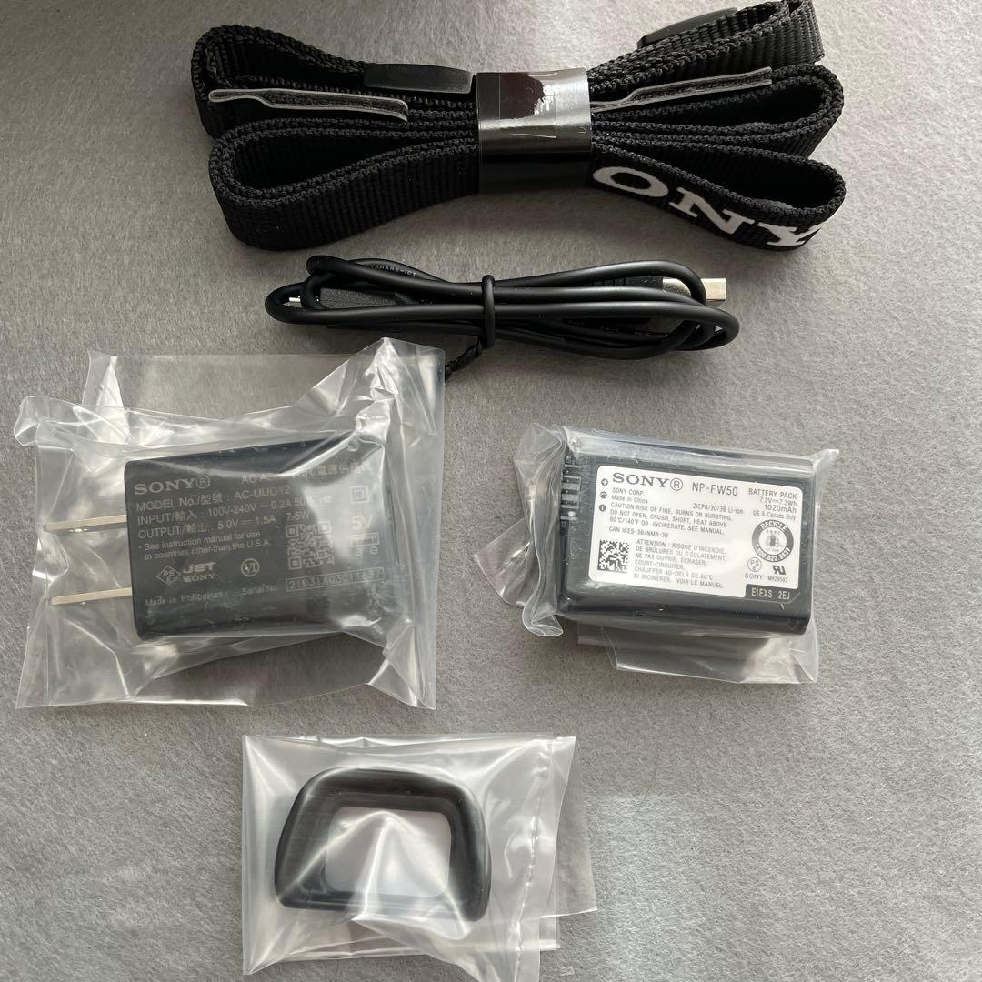 SONY α6100 ボディ