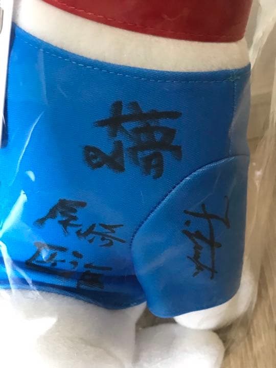 INI SoftBank 直筆全員サイン