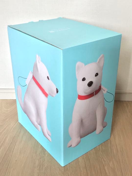 INI SoftBank 直筆全員サイン