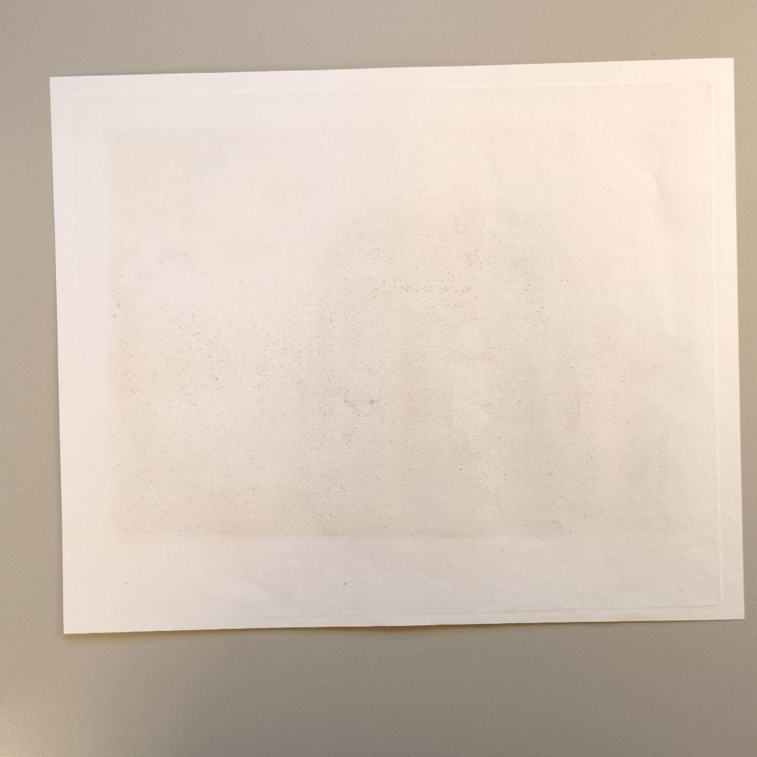 ローマ建築 ミネルウァ神殿 アンティーク版画