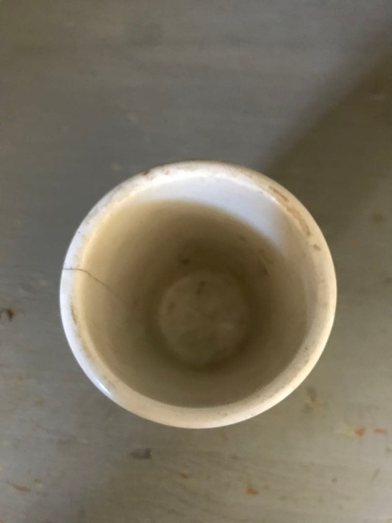 激レア　CLOTTED CREAM グリーン