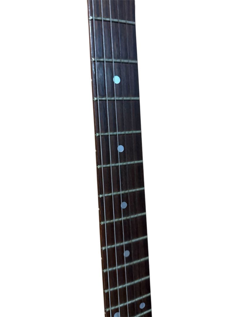 TARGET by FERNANDES エレキギター ケース