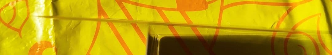 レックウザex PROMO ポケモンカードプレイヤーズクラブ 029/PLAY