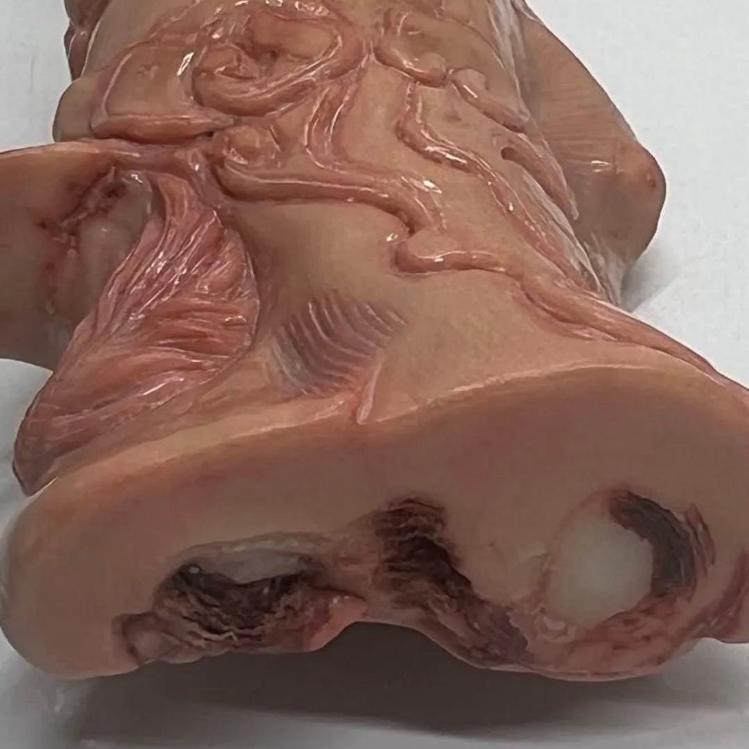 珊瑚龍 雕刻置物