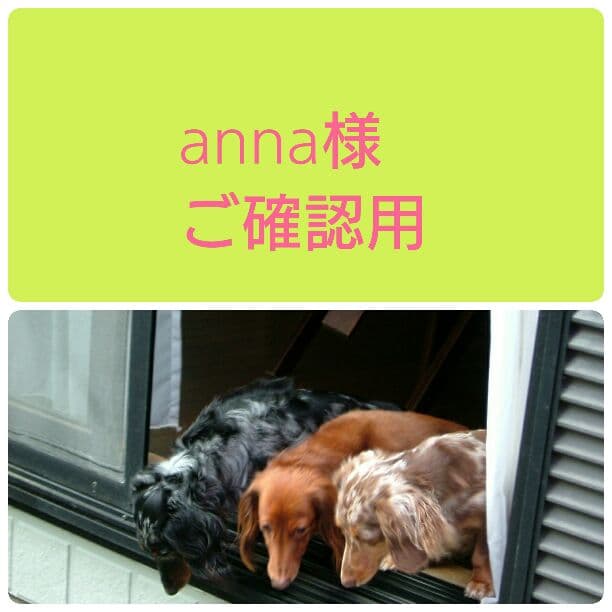 anna 様 ご確認用 です。