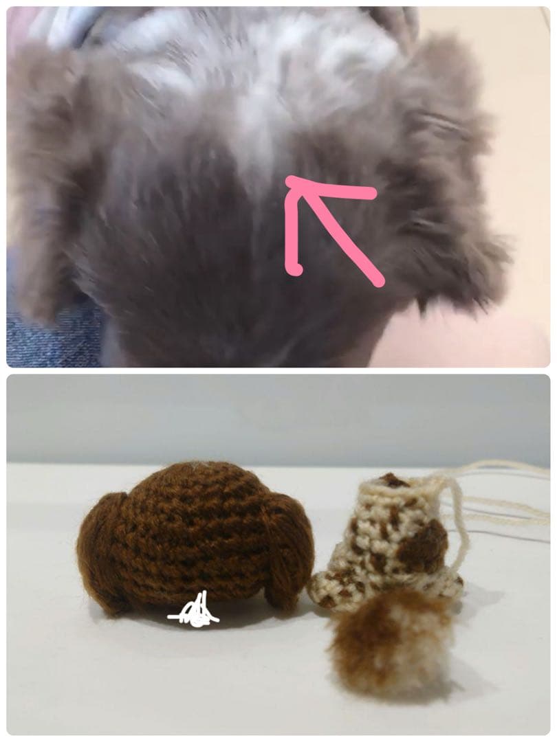 anna 様 ご確認用 です。