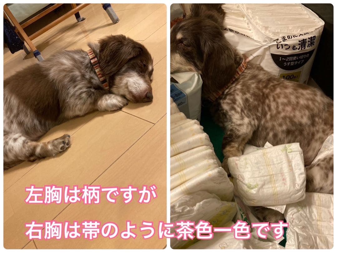 anna 様 ご確認用 です。