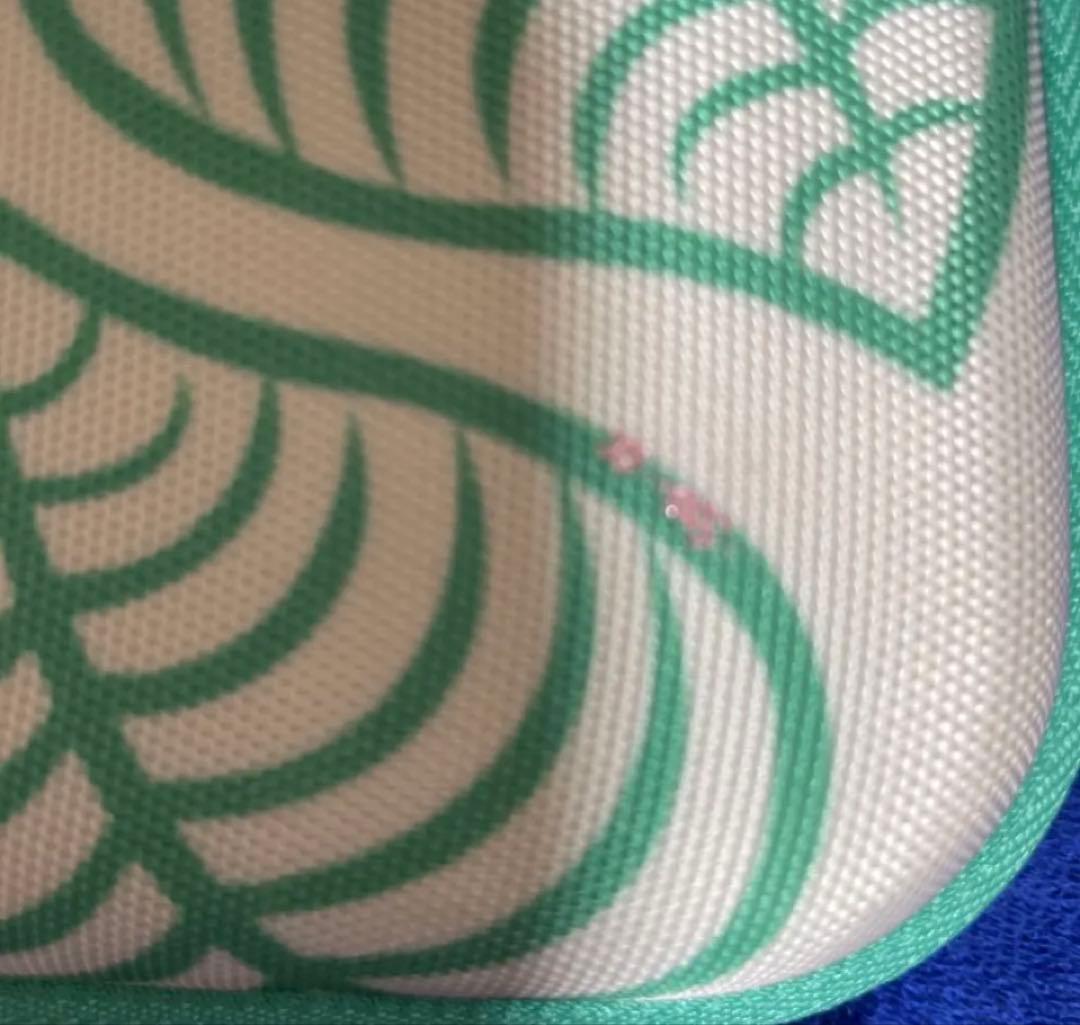 最終値下げ任天堂NintendoSwitch本体・Switchケース・ソフト3点