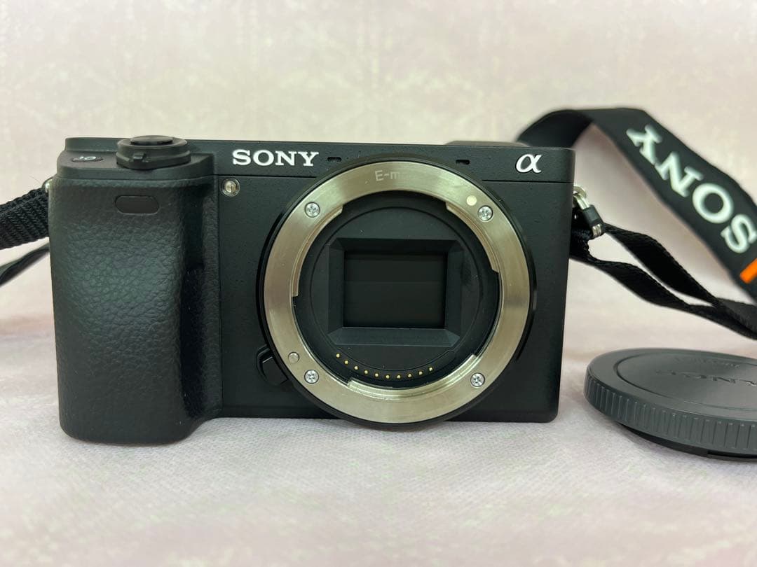 SONY α6300 オプションパーツセット　美品　USED