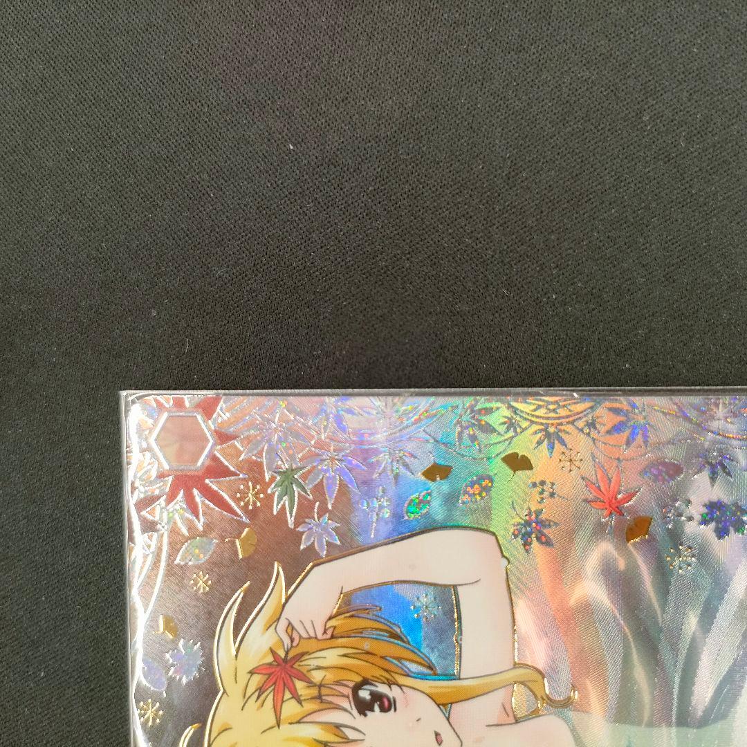 優勝PR　PR+　これからのこと フェイト