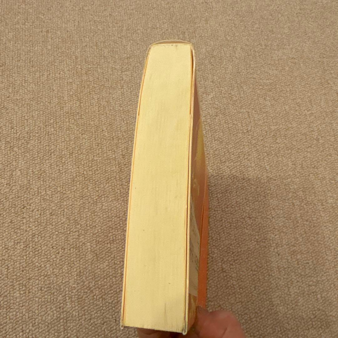 振り子の法則　トランサーフィン　超スピリチュアルな夢実現・幸福獲得法