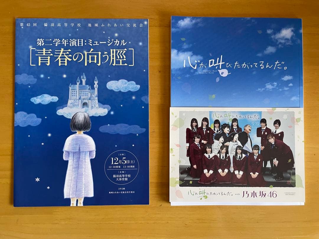 心が叫びたがってるんだあの日見た花の名前を僕達はまだ知らないキャラファイングラフ