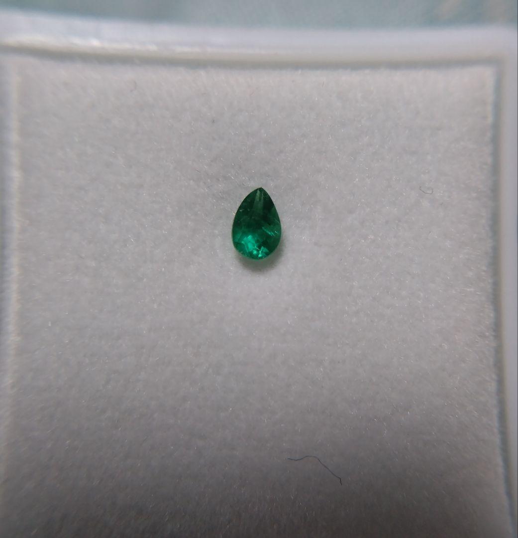 【激レア】グリーンアウイナイト（ソーティング付）