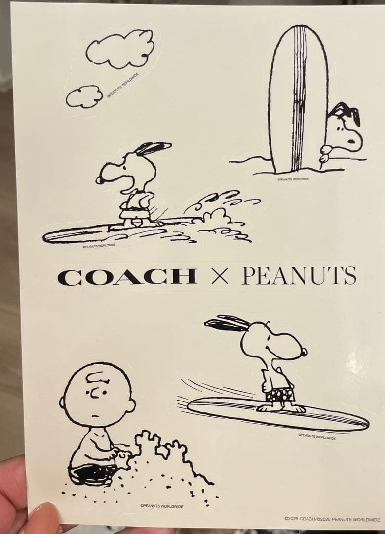COACH x PEANUTS スヌーピー　ペンケース