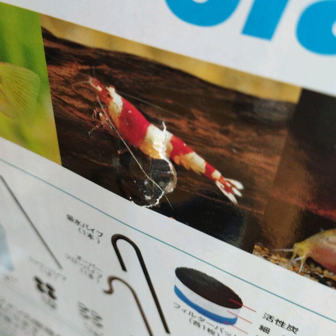 2000円相当オマケ付 新品2年間保証 エーハイム2213 グレーカラーセット