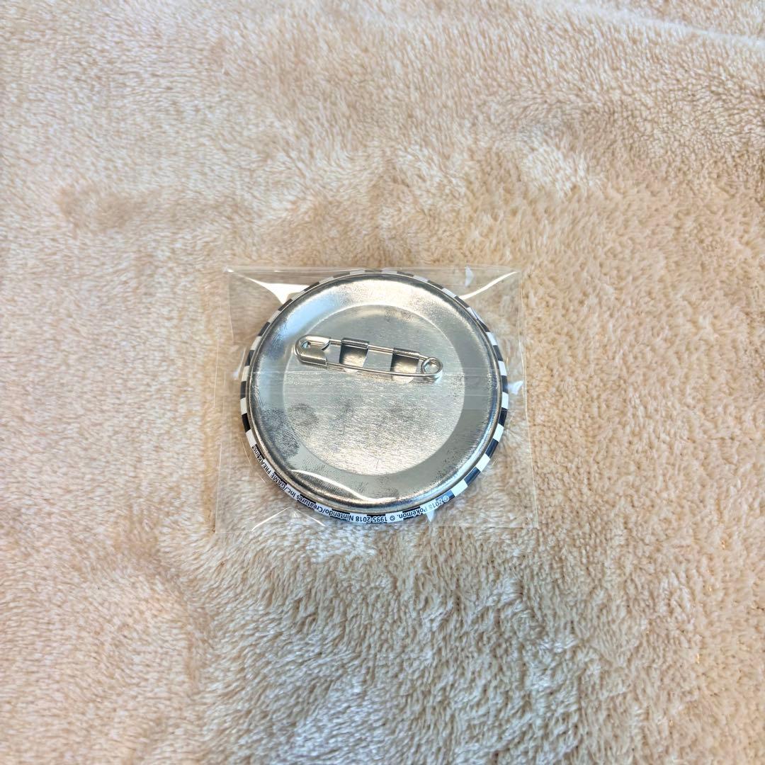 【匿名配送】ポケモン ノボリクダリ 缶バッチ イッシュ編