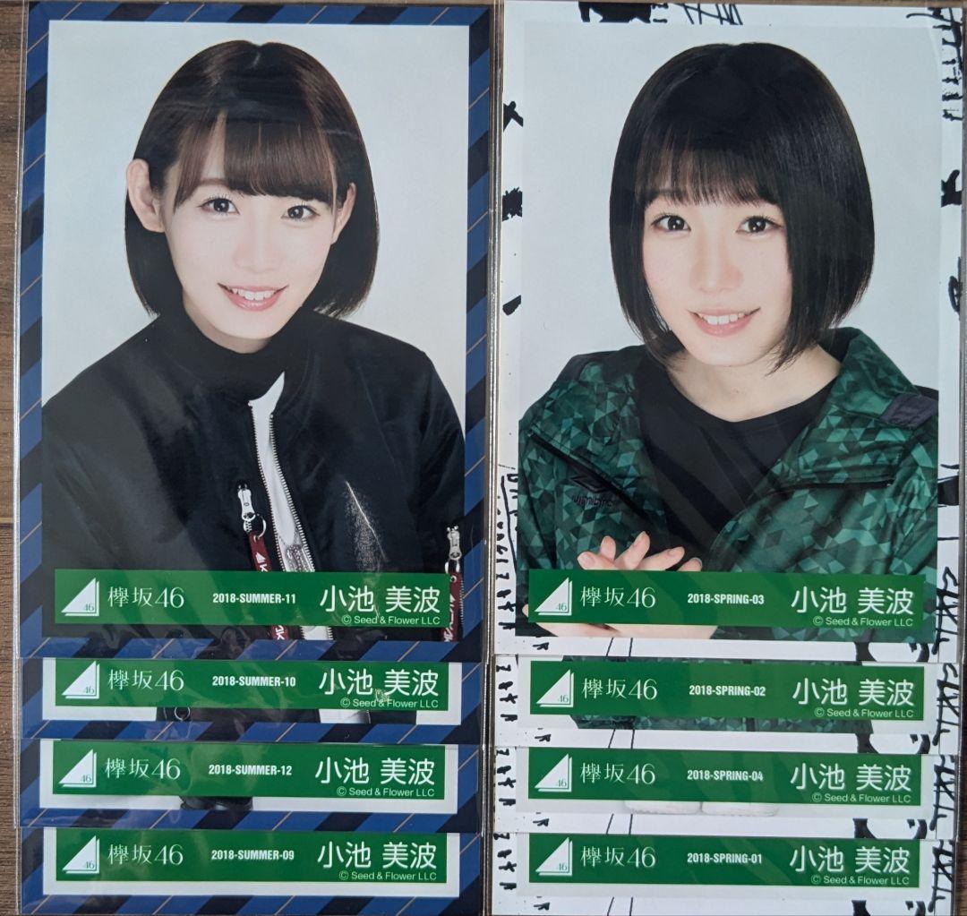 櫻坂46 欅坂46 小池美波 生写真 コンプ