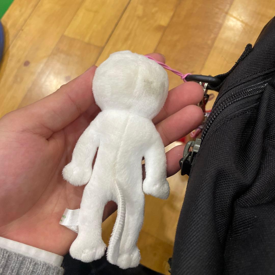 たいがのきーぼ