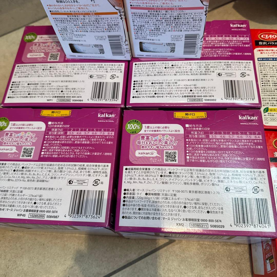 猫N 画像1 ＋ 12 安い！