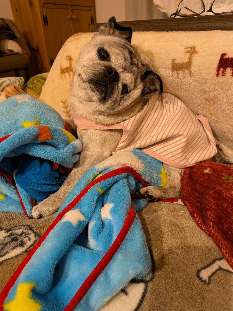 りんね様確認ページ