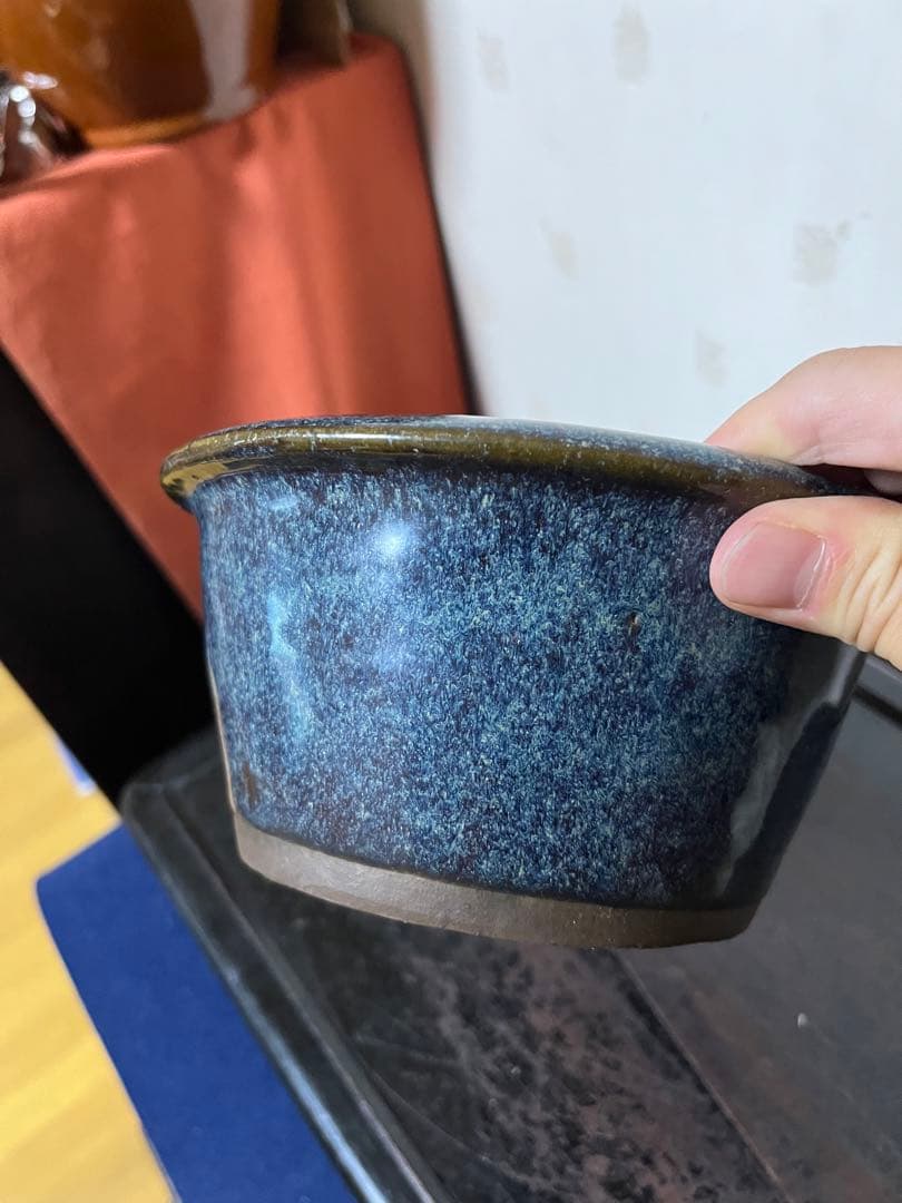 183 盆栽　盆栽鉢　植木鉢　中国鉢　海鼠　ナマコ