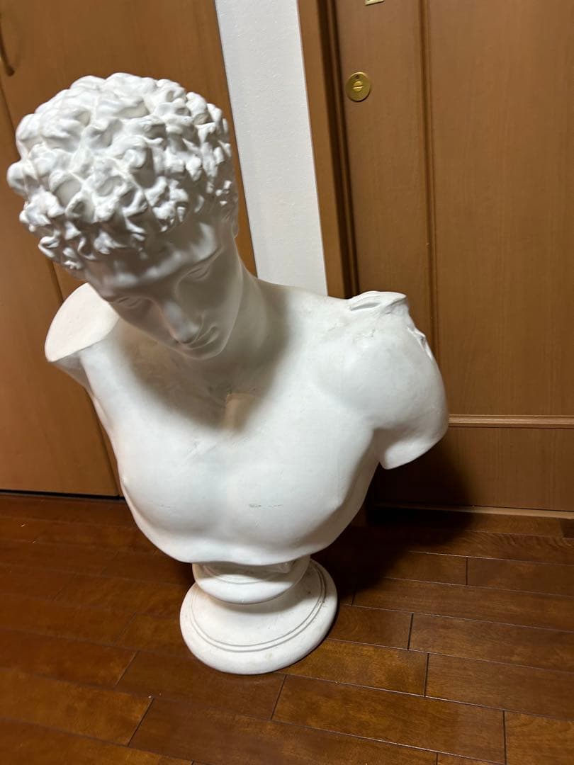 ヘルメス石膏、美術、美大