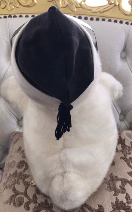 激レア☆サンアローオバケのテリオットぬいぐるみ☆