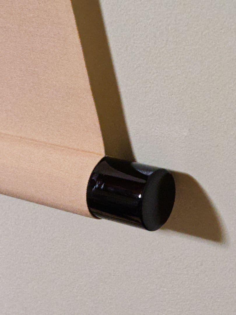 茶掛 大徳寺雲澤寺【足立泰道賛】 『薫風 菖蒲 画賛』 紙本 横物 共箱 外箱