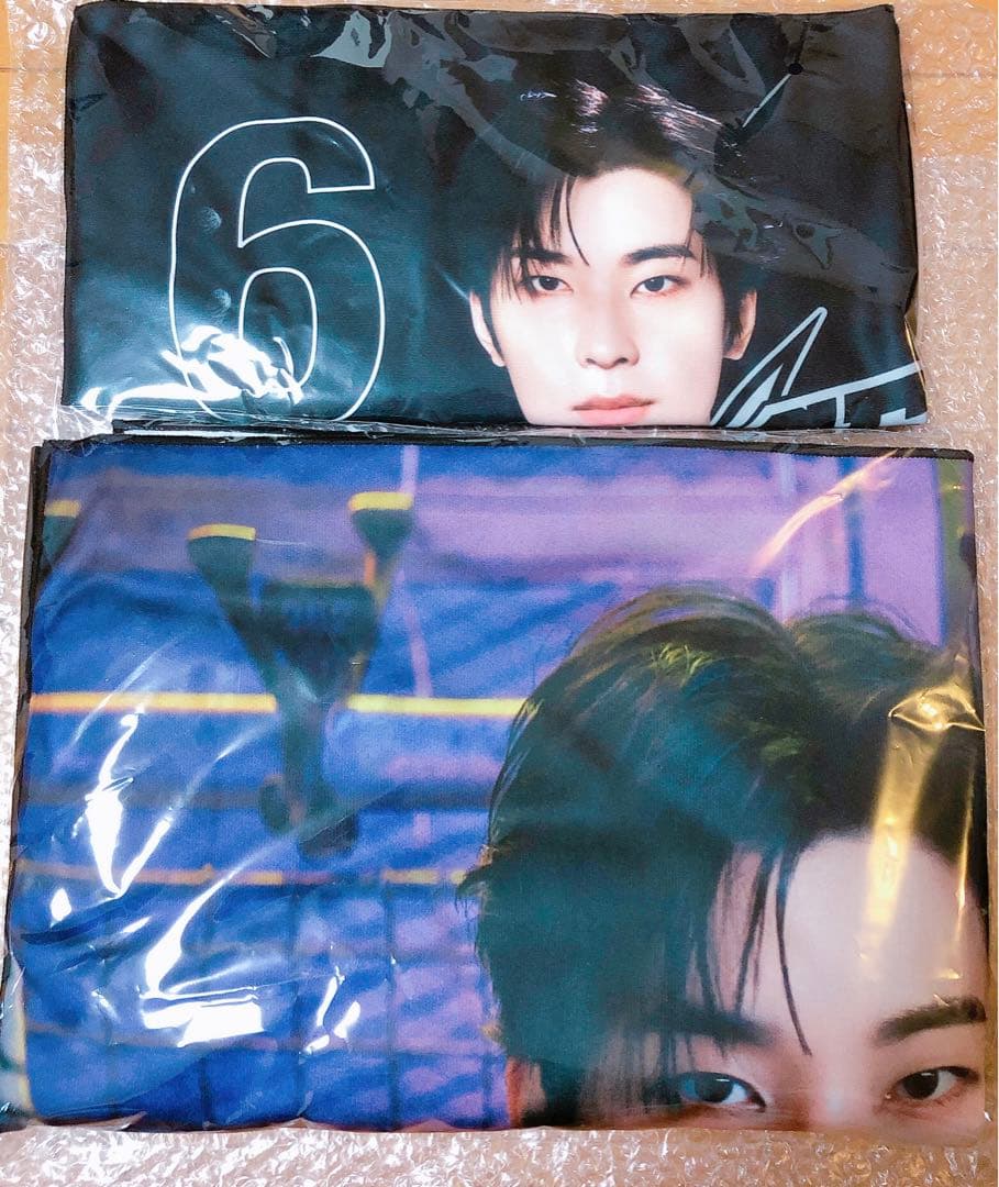 SEVENTEEN ウォヌ  ブランケット ビッグ ミニ フォト 25