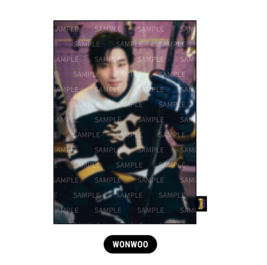 SEVENTEEN ウォヌ  ブランケット ビッグ ミニ フォト 25