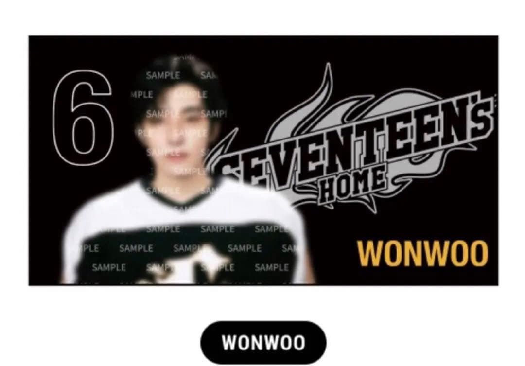 SEVENTEEN ウォヌ  ブランケット ビッグ ミニ フォト 25