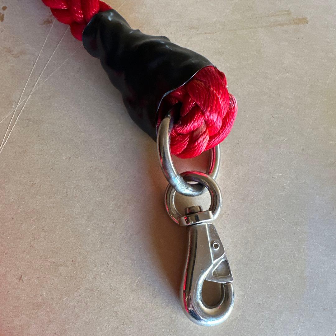 土佐犬　土佐闘犬　超大型犬　化粧引き綱