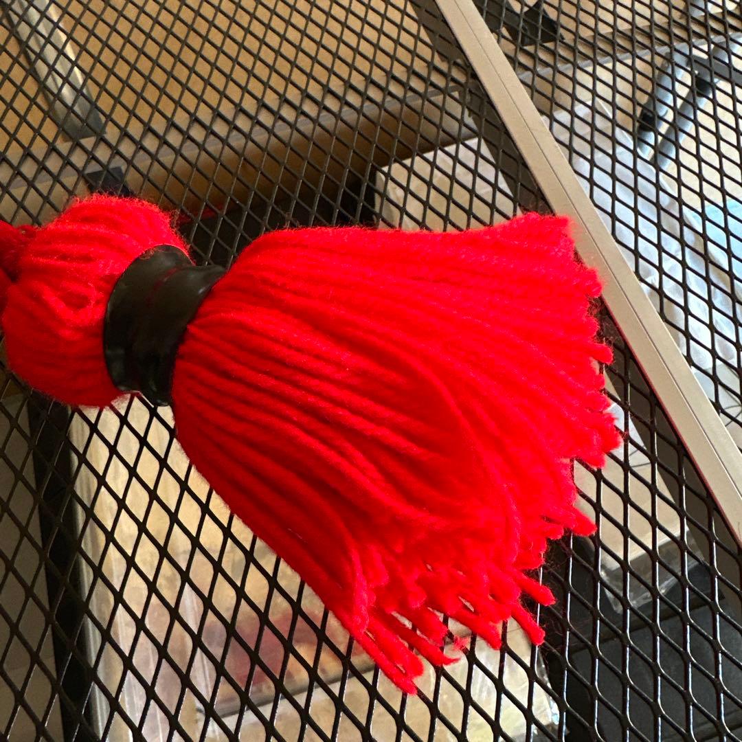 土佐犬　土佐闘犬　超大型犬　化粧引き綱