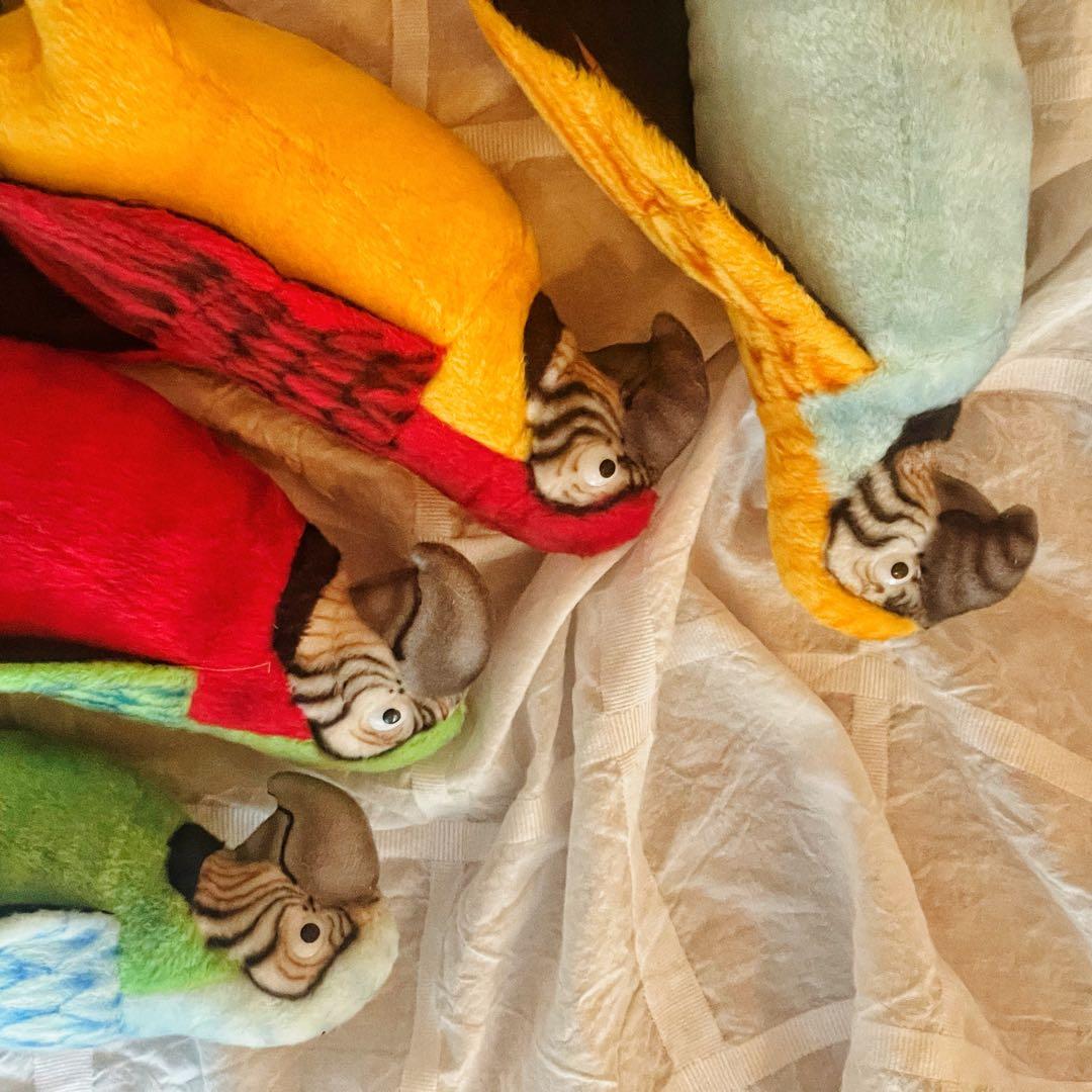 HANSA ハンサ オウム色違い4匹セット ぬいぐるみ