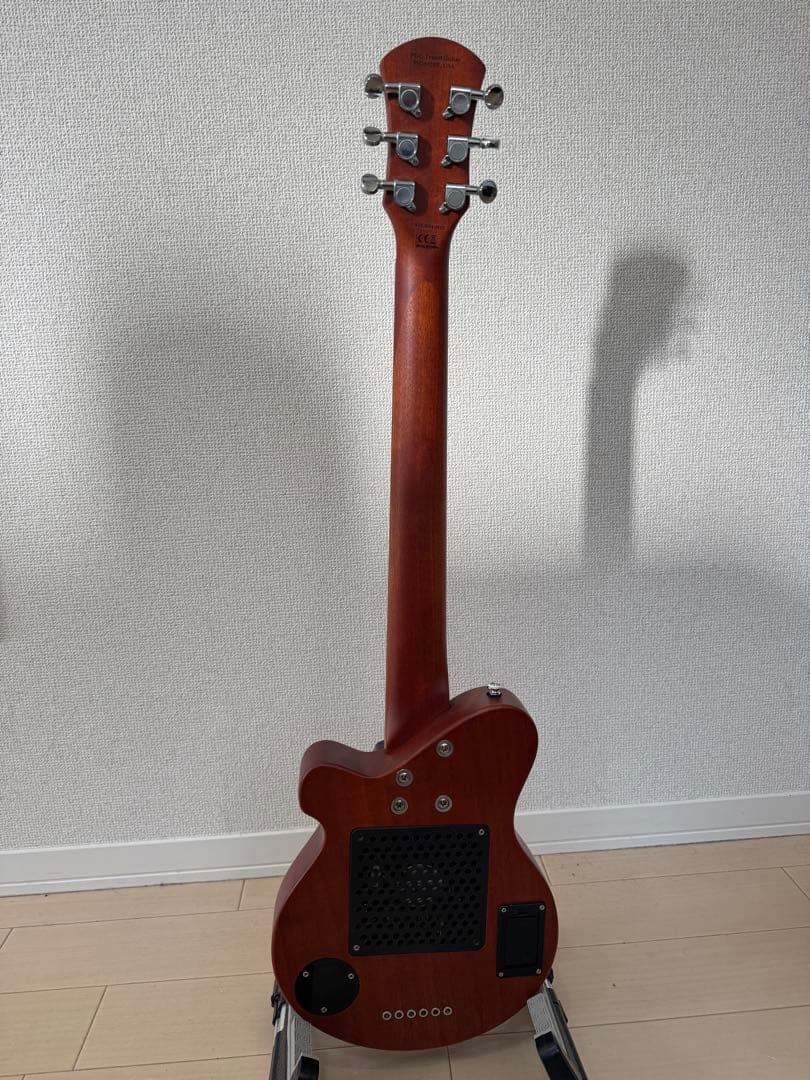 ピグノーズ　PGG-200MH PIGNOSE