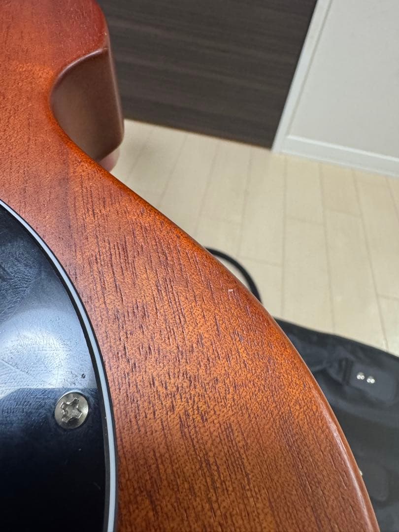 ピグノーズ　PGG-200MH PIGNOSE