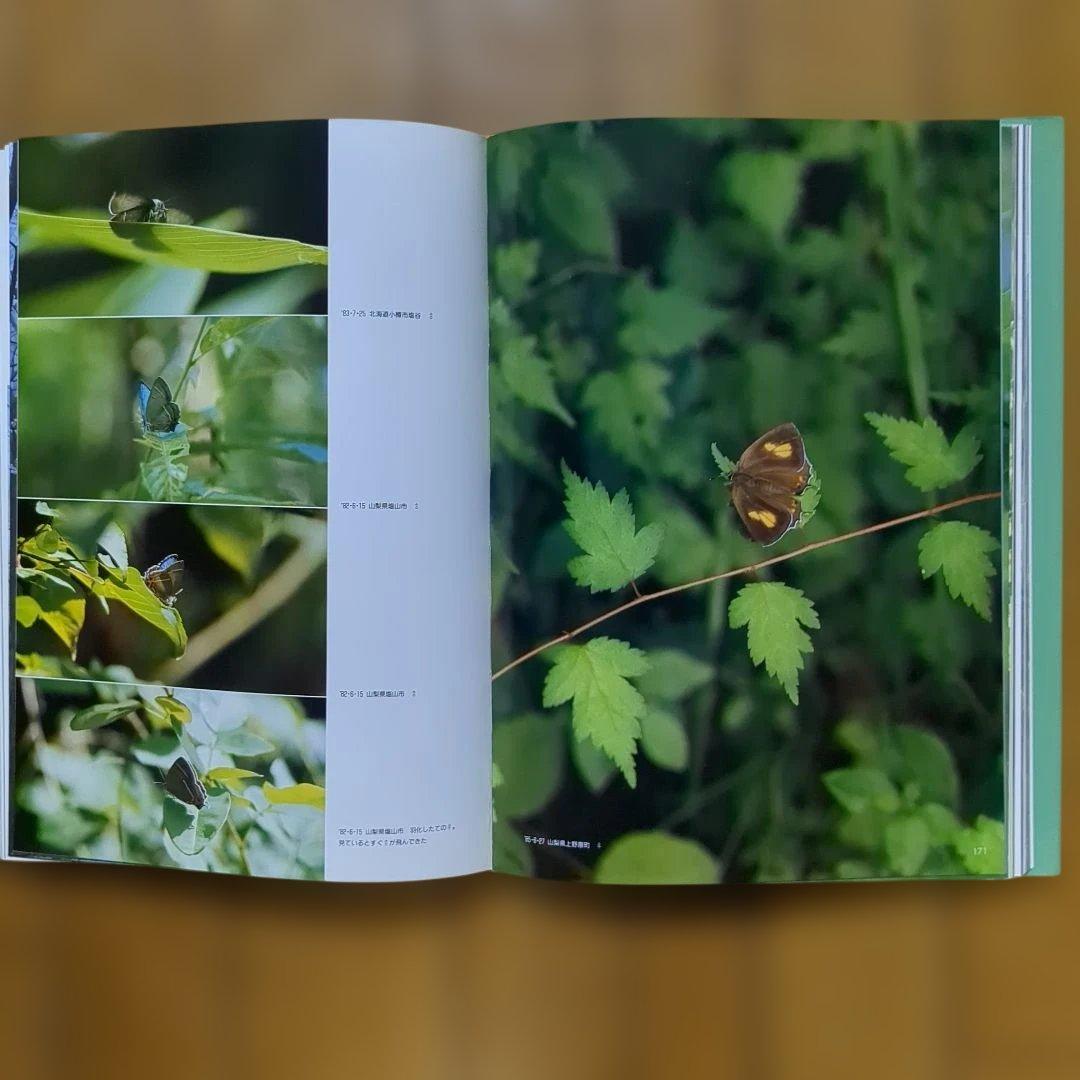 大倉舜二　ゼフィルス 24