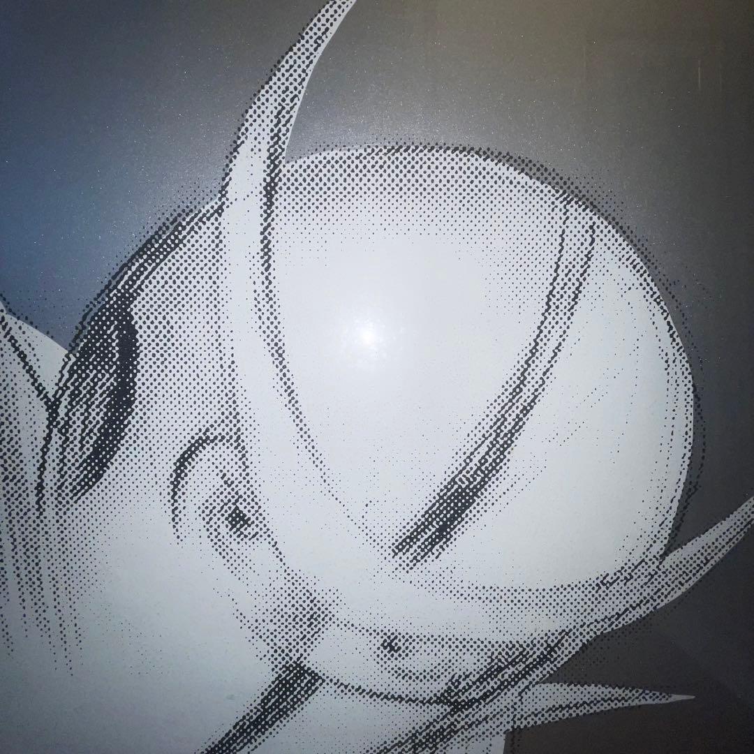 100部限定　真作　天野喜孝　キャシャーンII シルクスクリーン　アールビバン