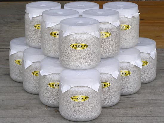 大型・美形クワガタ飼育用　BREED菌糸ビン　1500ml　18本セット／菌糸瓶