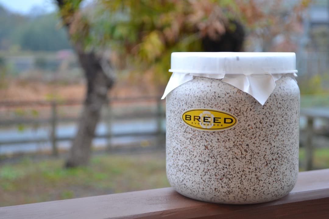 大型・美形クワガタ飼育用　BREED菌糸ビン　1500ml　18本セット／菌糸瓶