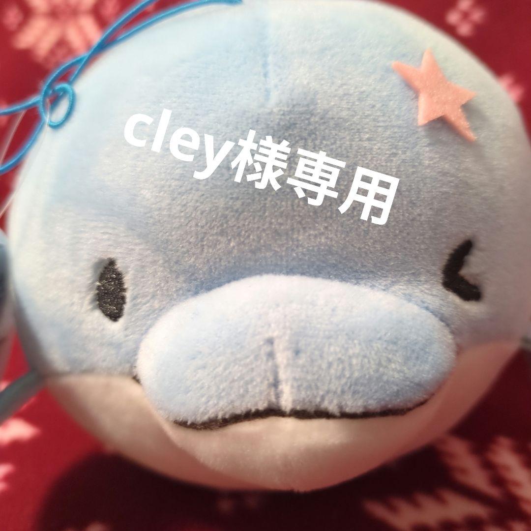 ポケモンカードゲーム cley