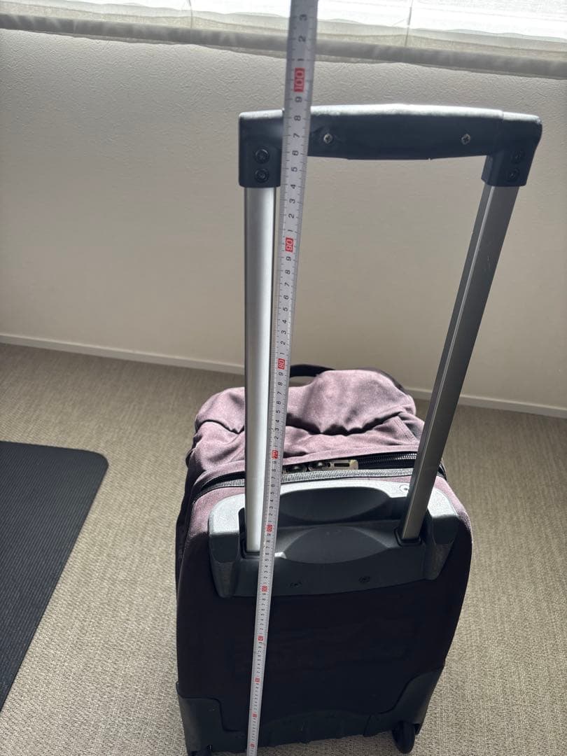 クレヨン7色さま専用【Patagonia】 キャリーケース フリーウィーラー