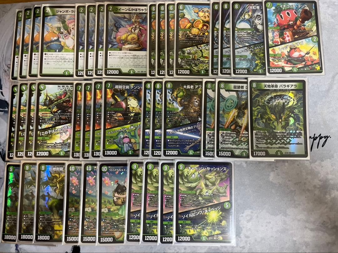 緑単キャベッジ　グランセクト