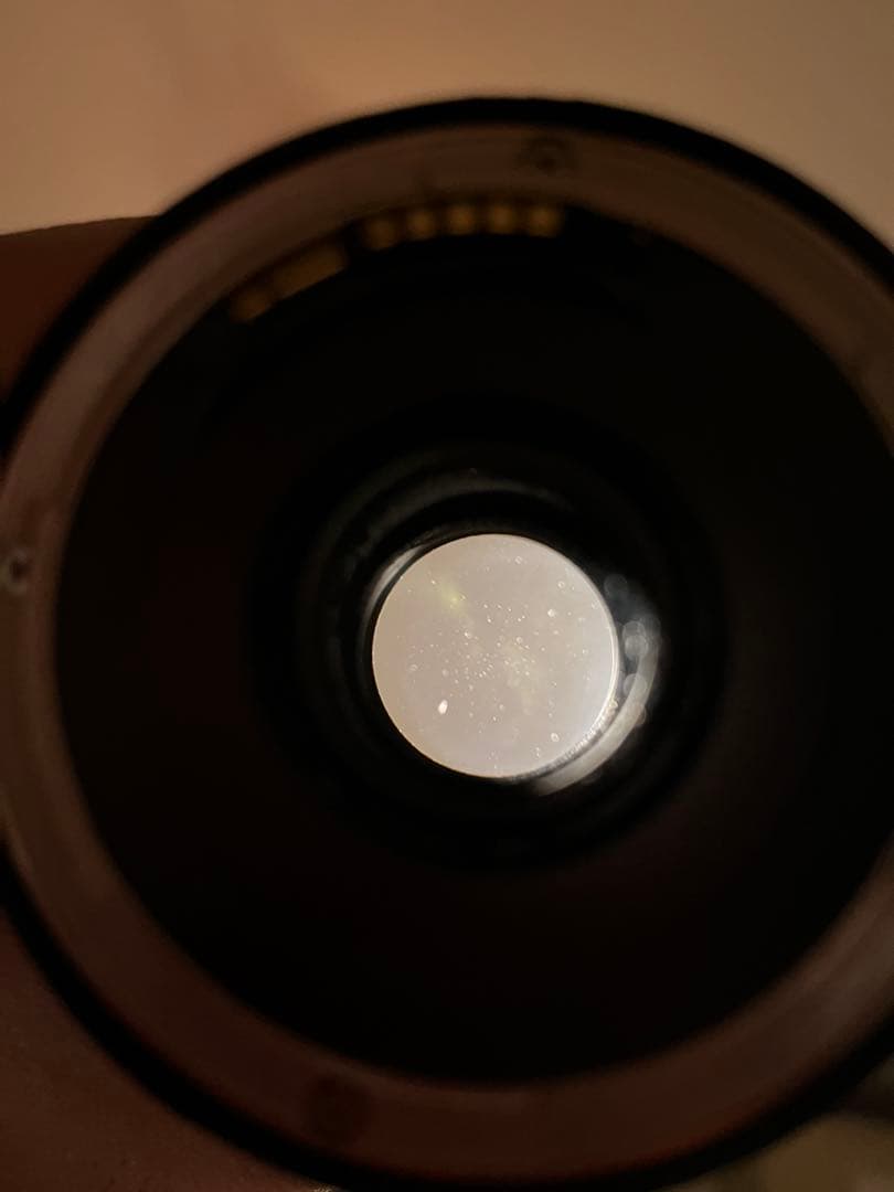 Canon16-300mm f3.5〜f6.3 Di II VC AF