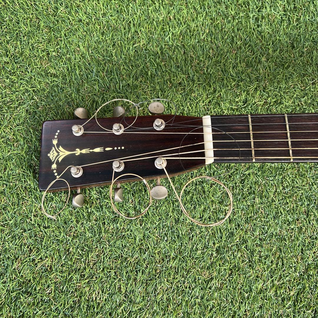 希少TOKAI GAKKI CatsEyes CE-800T 1212680