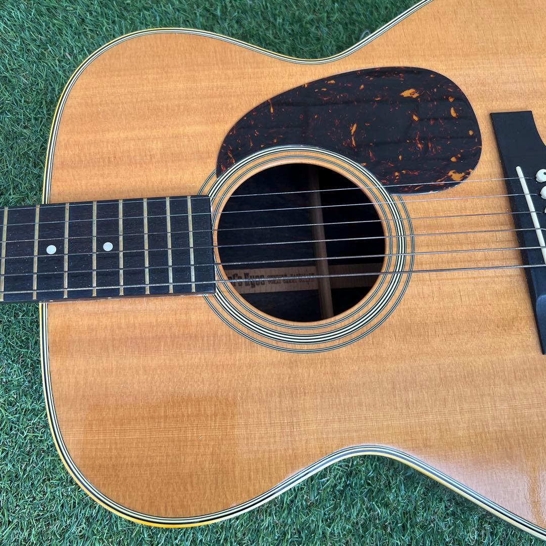 希少TOKAI GAKKI CatsEyes CE-800T 1212680