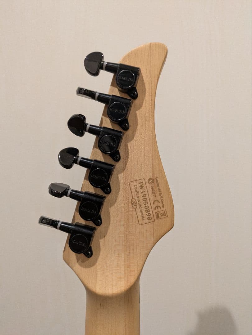 ★限定生産　SCHECTER　AD-C-6-FR-PRO　ARB 改★