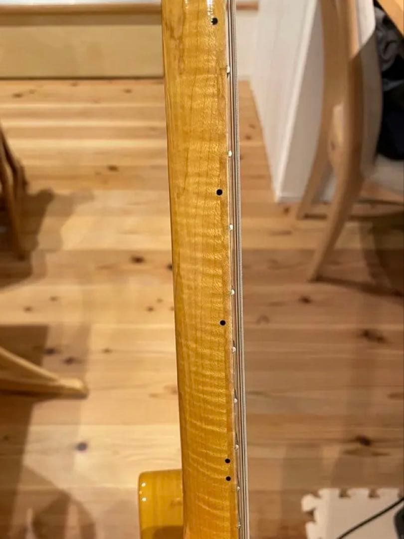 HL-TV/M History テレキャスタータイプ